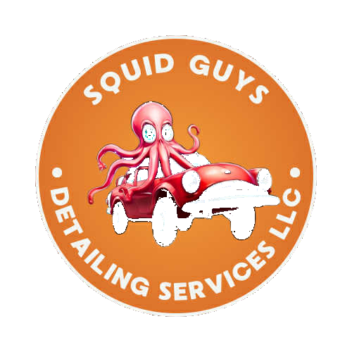 Squid Guys Detailing Logo